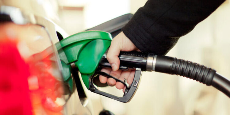 Expogas Veracruz 2024: Escenario estratégico para el sector gasolinero