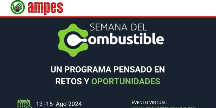Controles volumétricos: el rol de la autoridad en la evasión fiscal