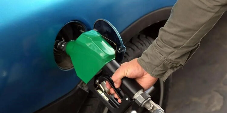 Abaratarían biocombustibles hasta 40% gasolinas