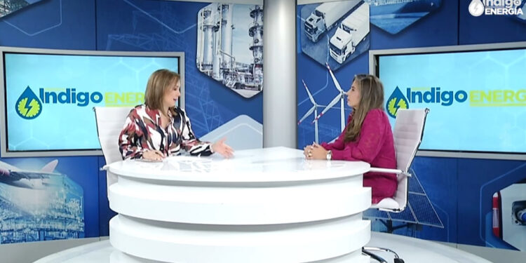 Visión de AMPES como proveedores de estaciones de servicio | Índigo Energía e Industria