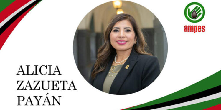 Reeligen a Alicia Zazueta como presidenta de AMPES